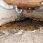Standing-water-in-crawl-space.jpg