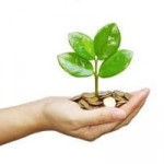 ecosavings.jpg