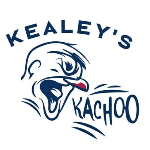 Kealeys Duct and Dryer Cleaning Service