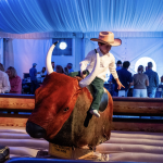 bounce party of tampa 1.png