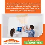 SERVPRO of Waxahachie Graphic 2 (1).png