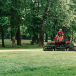 lawn care and landscaping