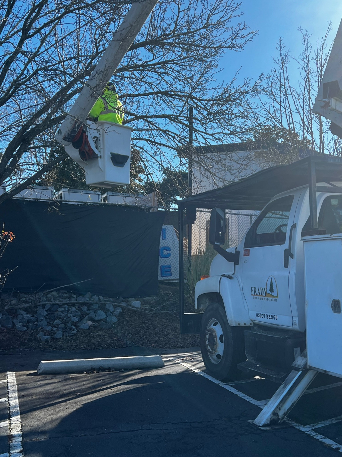 Frady Tree Care Is Available for Professional Tree Removal Services in