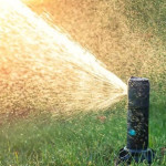 Proven Lawn Watering Schedule for Indianapolis Summers—Backed by Real Project Experience.jpg