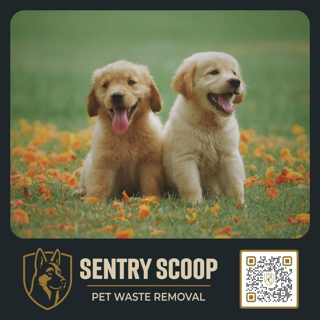 Two adorable puppies in a yard, pet waste removal logo at the bottom