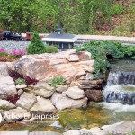 Landscaping Ideas.jpg