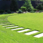 Custom Lawn Care Plans to Meet Every Need in Indianapolis.jpg