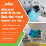 advanced-mold-detection-thermal-camera-servpro.jpg