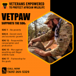 Vetpaw PR Image 5.png