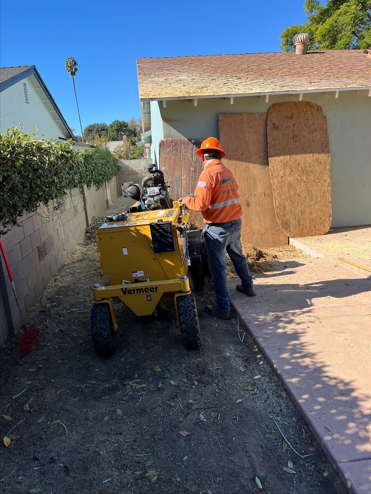 stump grinding services in Sylmar