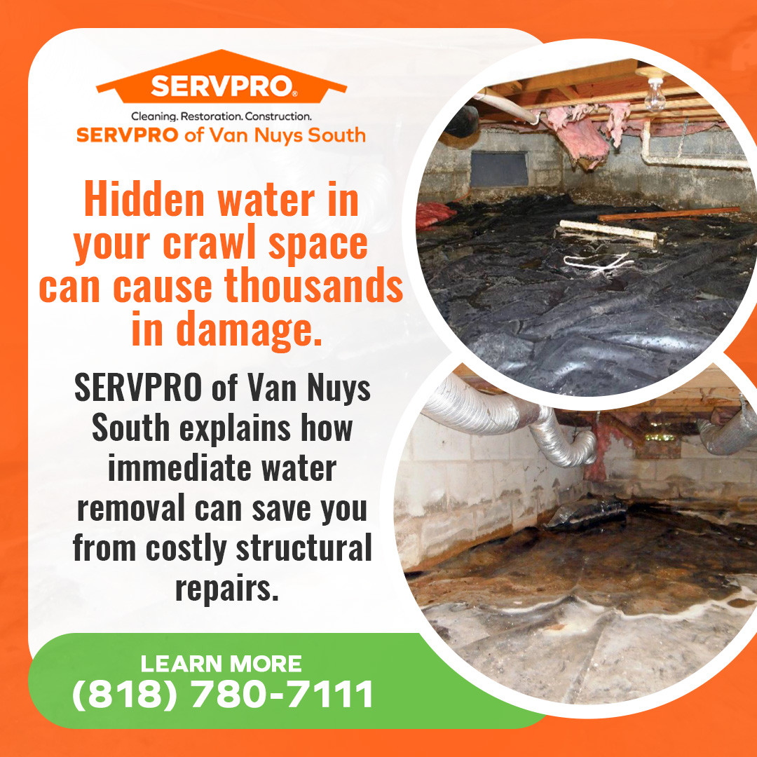 Immediate water removal to prevent costly structural repair