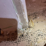 basement water damage 7.jpg