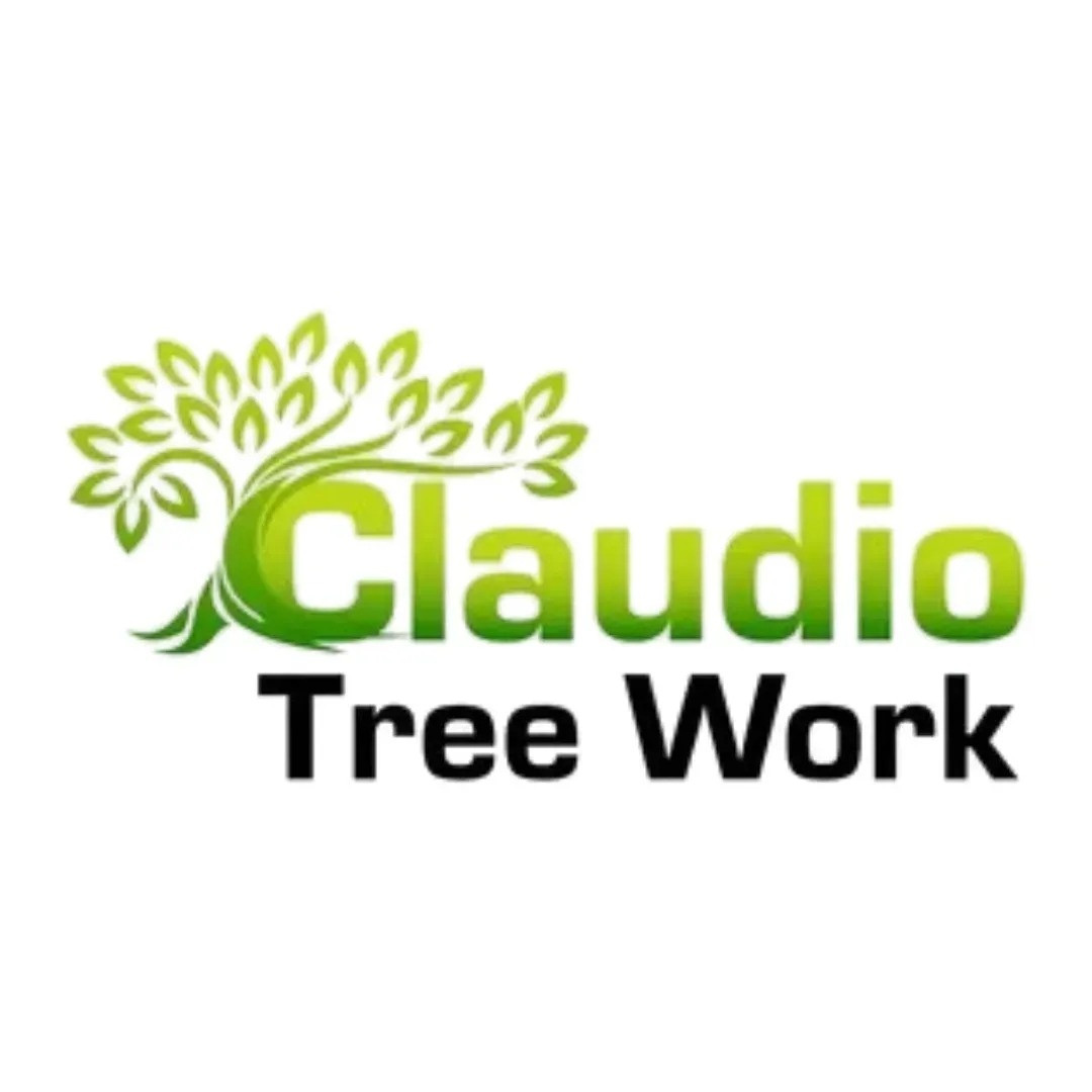 Claudio Tree Work and Landscaping LLC