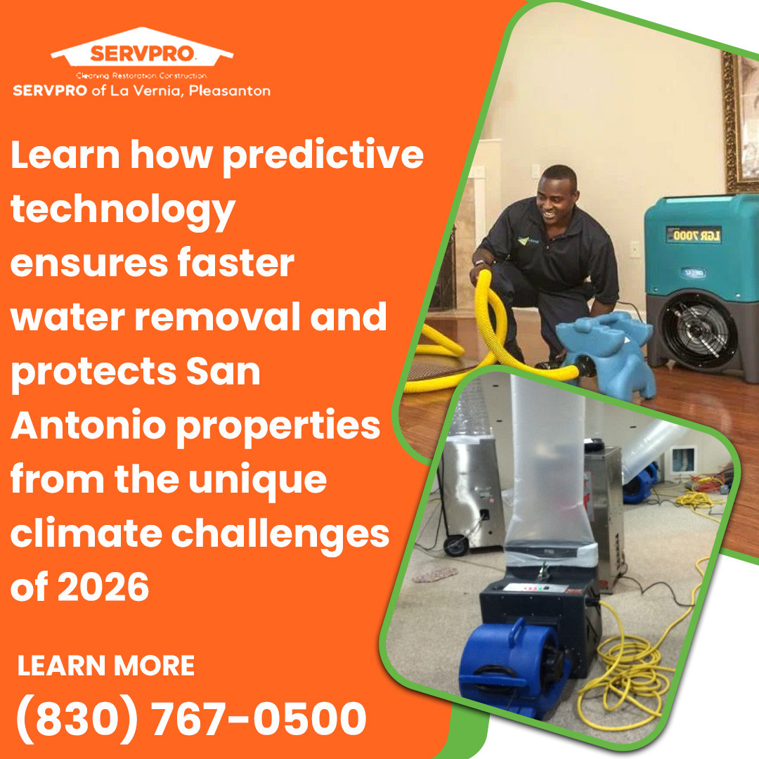 Professional Water Removal