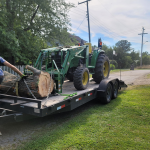 big-tree-removal-services.png