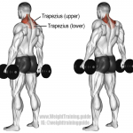 Trap-Shrugs-1024x925.png