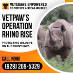 Operation-Rhino-Rise-1.jpg