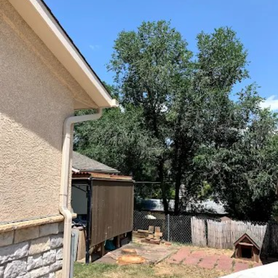 Arbor One Tree Service LLC: Colorado Springs’ Professional Tree Service