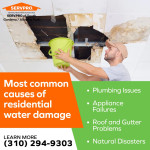 SERVPRO of South Gardena _ Alondra Park 1.jpg