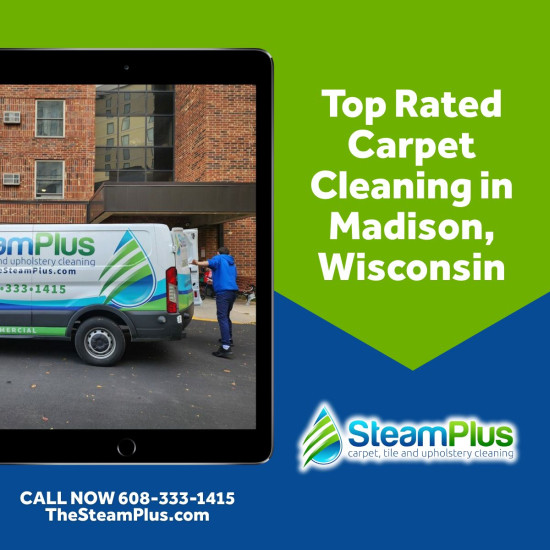 Expert Upholstery Cleaning Madison WI: Steam Plus Delivers 16-Year Mastery