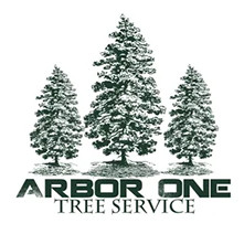 Arbor One Tree Service, LLC