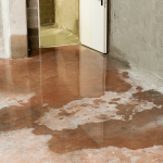 How-to-Handle-Storm-Water-Damage.png