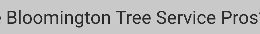 Bloomington Tree Service Pros