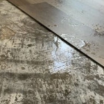 flooring+water+damage-1920w.jpg