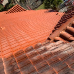 roof cleaning jacksonville.jpg