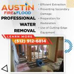 Professional Water Removal in Bullet Form.png