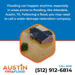 Austin Fire and Flood Graphic 5 (1).png