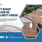 roof repair in Walnut Creek.png