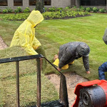 chastain-park-sod-installation-services.jpg