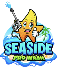 Seaside Pro Wash