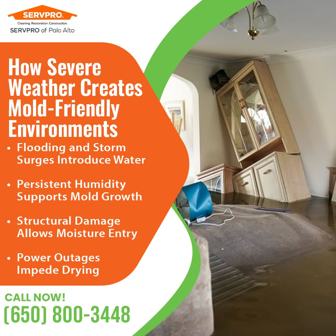 How severe weather creates mold-friendly environments