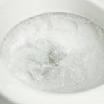 whatgetsflushed.jpg