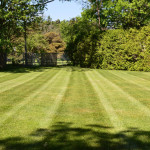 Lawn Mowing.jpg