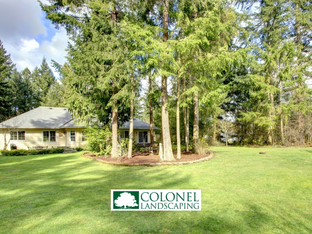 lawn care and maintenance