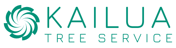 Kailua Tree Service