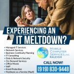 Mobile-Computer-Services-Raleigh-IT-Meltdown-2.jpg