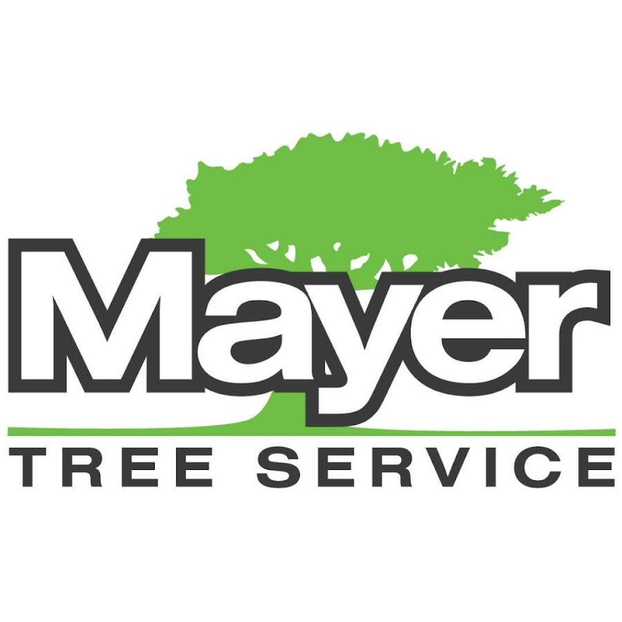 For Stump Grinding, Trust an Arborist at Mayer Tree Service NORTHEAST