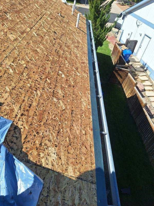 hail damage roof repair in Windsor