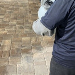 paver sealing Jacksonville.jpeg