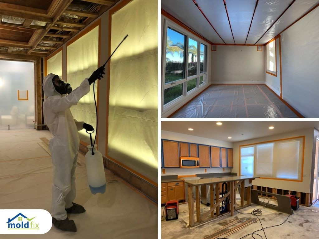 Mold Fix in Orange County CA