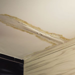 tipstohelpfindandfixwaterleaks.jpg