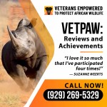 Reviews-and-Achievements-1.jpg