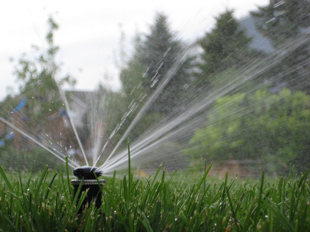 How Long To Run Sprinklers Texas All information about
