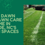Performance Lawn and Landscapes Templates (7).png
