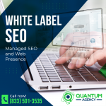 White Label SEO Google Asset Stacks