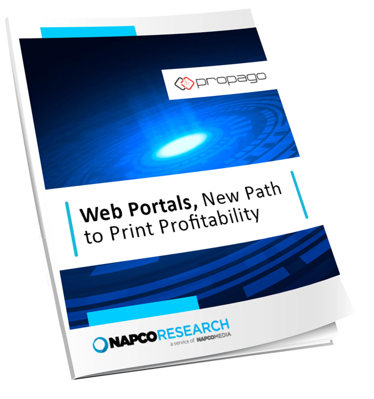 Customized Web Portals Drive 12% Revenue Growth for Printers